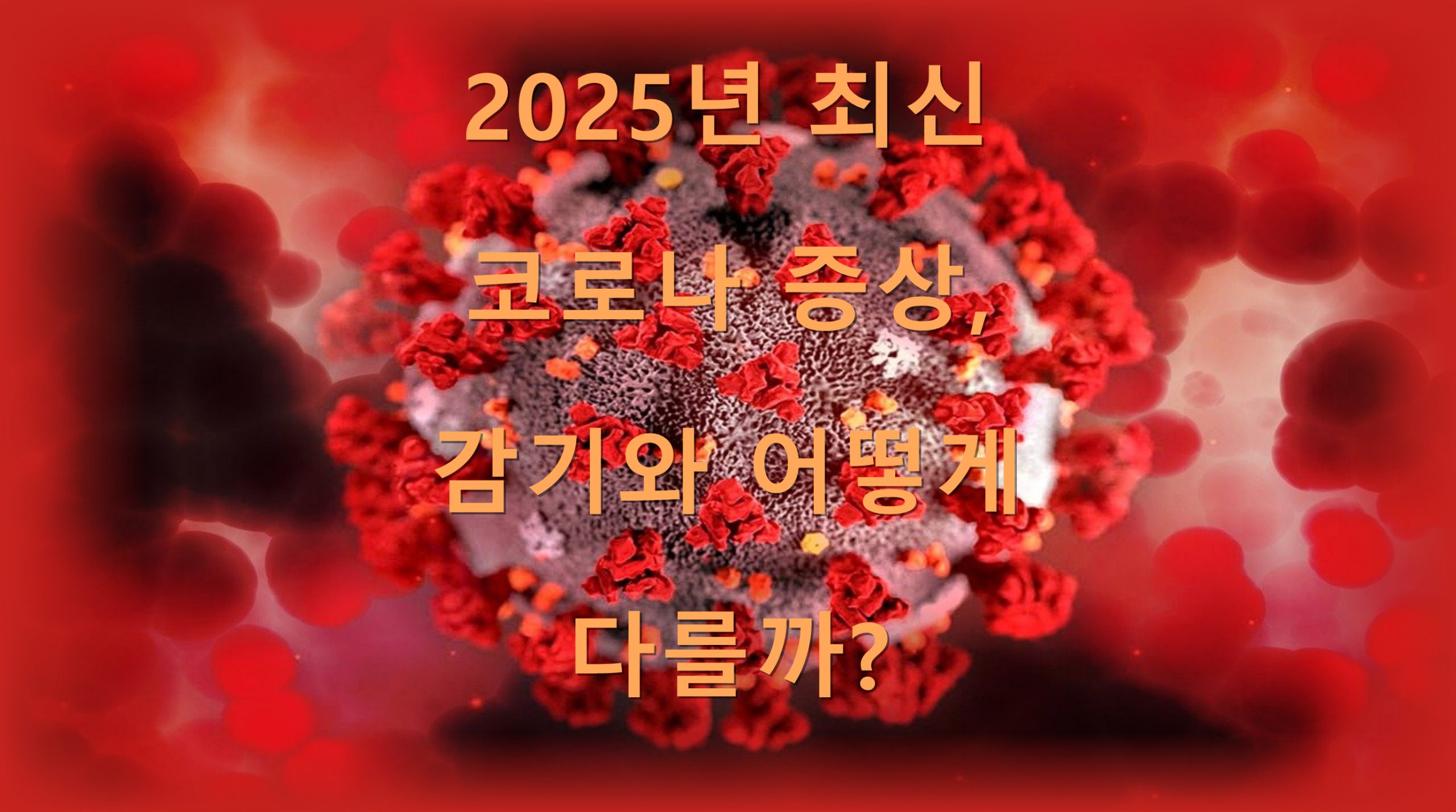 utf 8BMjAyNeuFhOy1nOyLoOy9lOuhnOuCmOymneyDgeqwkOq4sOyZgOyWtOuWuqyjOuLpOulvOq5jC5wbmc scaled