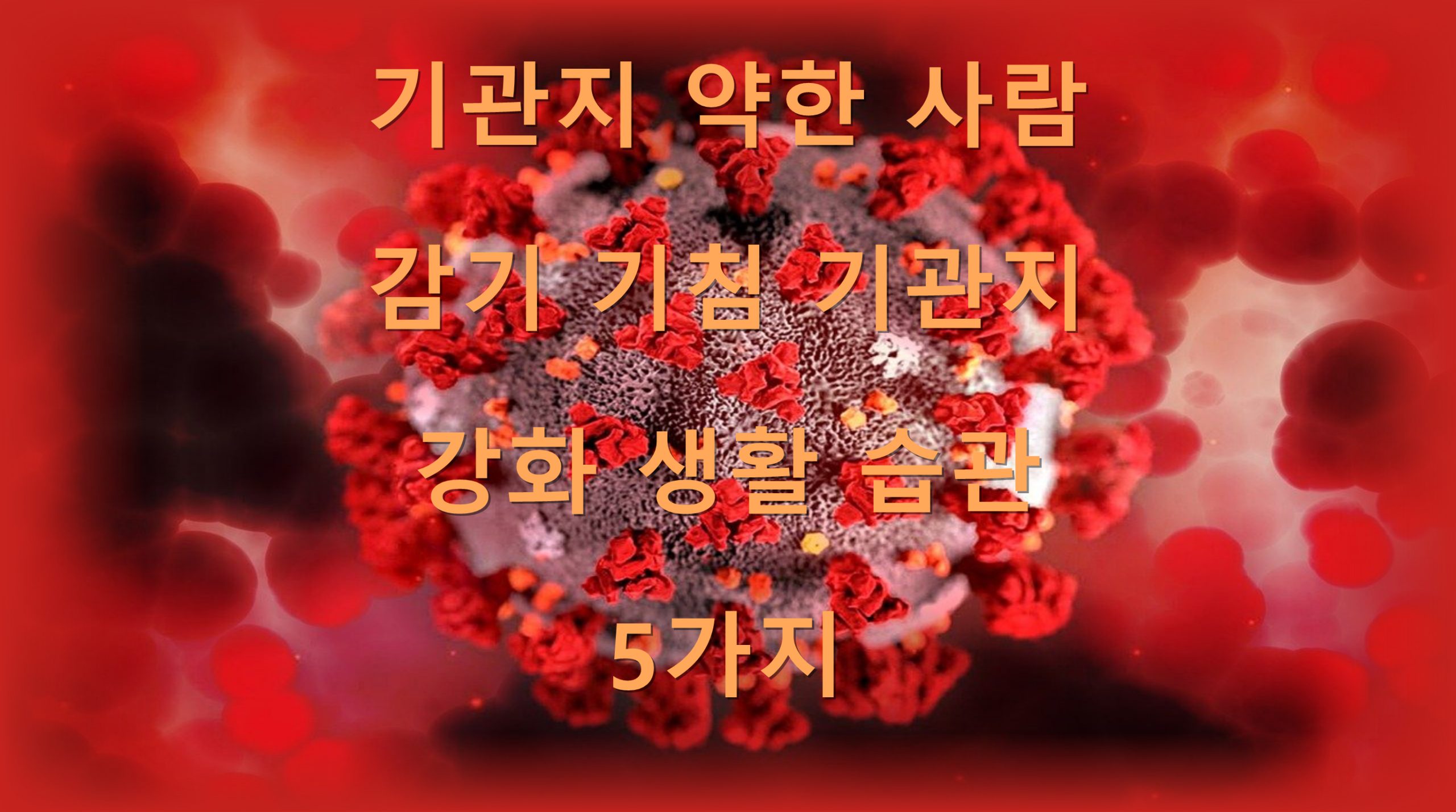 utf 8B6riw6rSA7KeA7JW97ZWc7IKs656M6rCQ6riw6riw7Lmo6riw6rSA7KeA6rCV7ZmU7IOd7Zmc7Iq16rSANeqwgOyngC5wbmc scaled