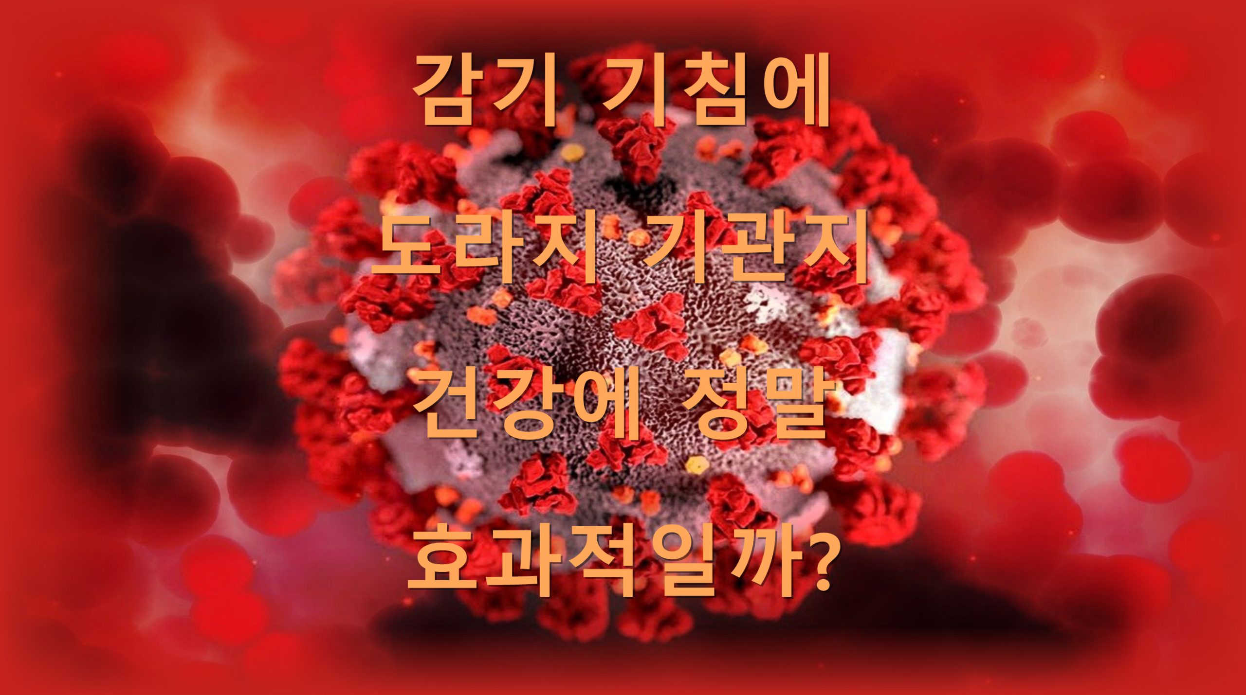 utf 8B6rCQ6riw6riw7Lmo7JeQ64E65287KeA6riw6rSA7KeA6rG06rCV7JeQ7KCV66eQ7Zqo6rO87KCB7J286rmMLnBuZw scaled