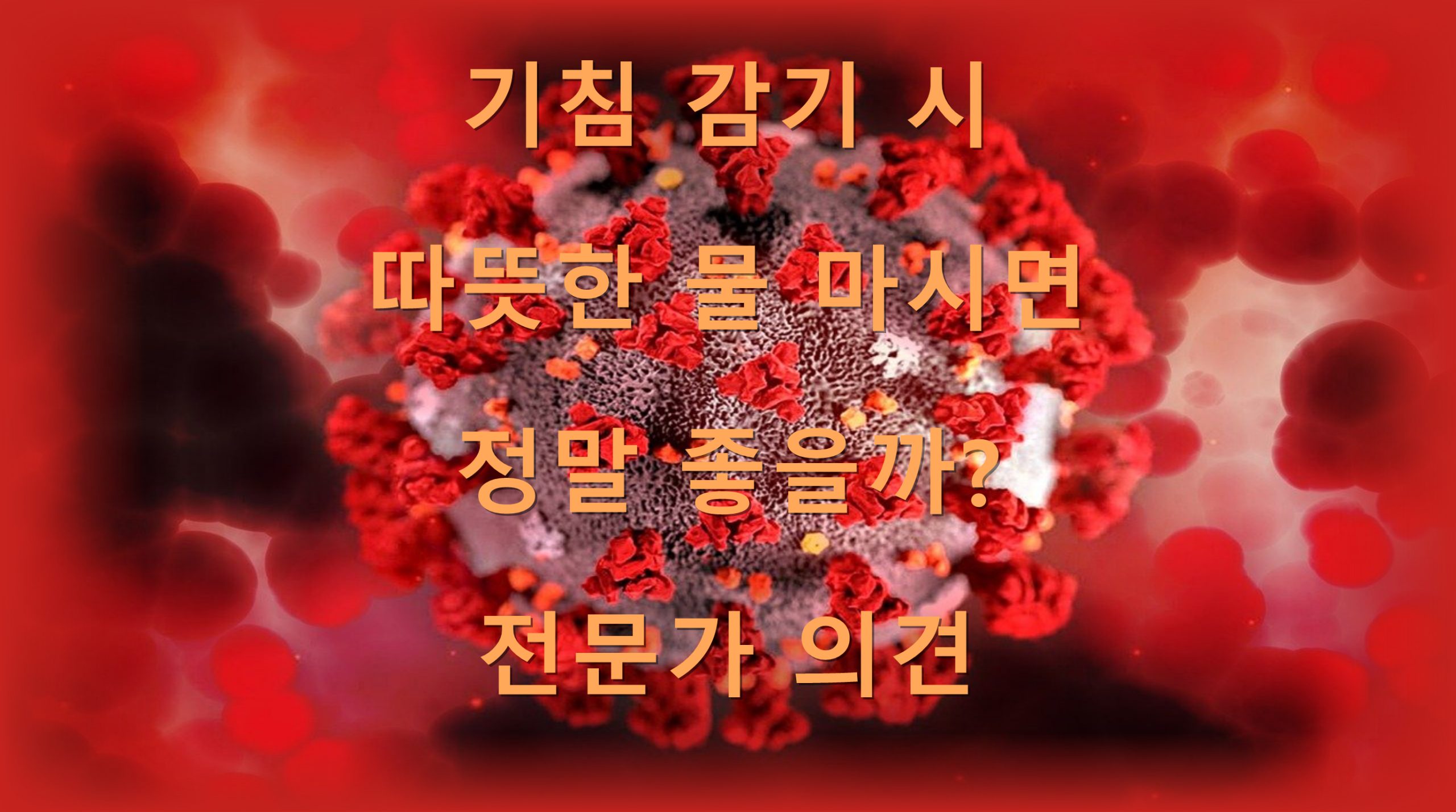 utf 8B6riw7Lmo6rCQ6riw7Iuc65Sw65y77ZWc66y866eI7Iuc66m07KCV66eQ7KKL7J2E6rmM7KCE66y46rCA7J2Y6rKsLnBuZw scaled